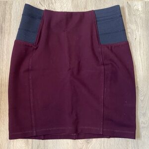 Stretchy Mini Skirt